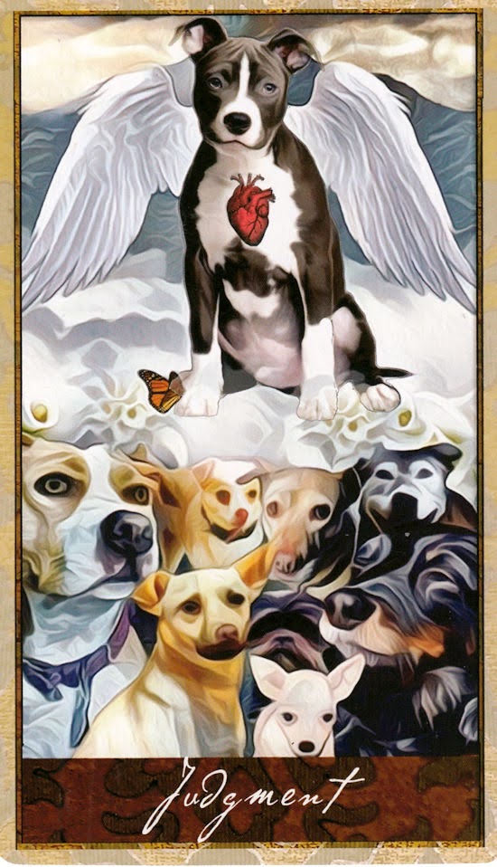 Wise Dog Tarot